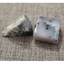 agate dendritique